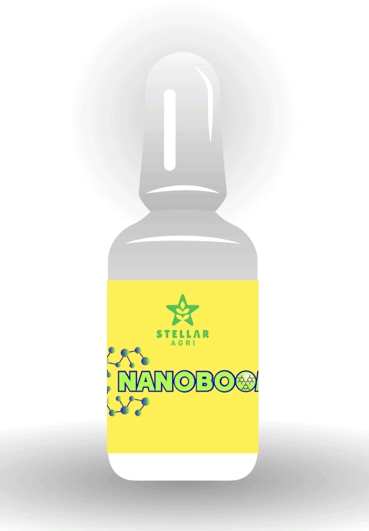 NANOBOOM