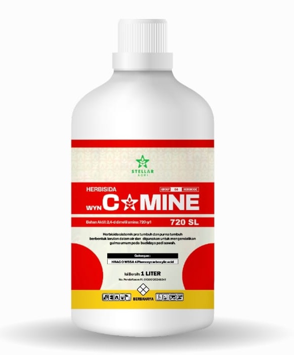 wynCAMINE
